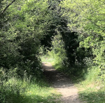 Schwelle im Licht